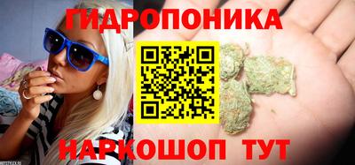 прущие грибы Обь