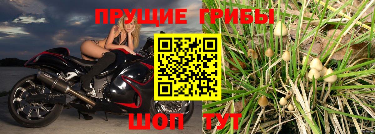 Оренбург  Галлюциногенные грибы Cubensis  Вход с VPN  Псилоцибиновые грибы мухоморы 